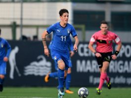 Italia nitisti loistavasti pelanneet Minihuuhkajat