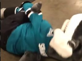 Video: San Jose Sharksin maskotti suoritti tyylikkään Neymar-filmauksen san jose sharksin maskotti puoliaika