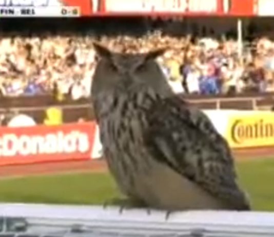 Huuhkajien EM-karsintaryhmä täydentyi kahdella pelaajalla – Uronen sivuun loukkaantumisen vuoksi