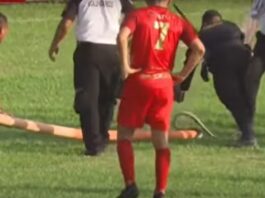 Video: Guatemalan liigan ottelussa keskeytys – käärme luikerteli kentälle