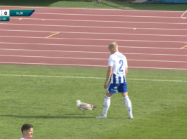 Video: HJK:n Tuomas Ollila ohjasi taitavasti lokin pois Ratinan nurmelta