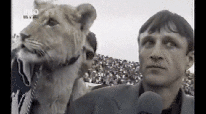 Klassikkovideo: Hullu hetki Romanian pääsarjassa – leijona heilahtaa TV-haastatteluun