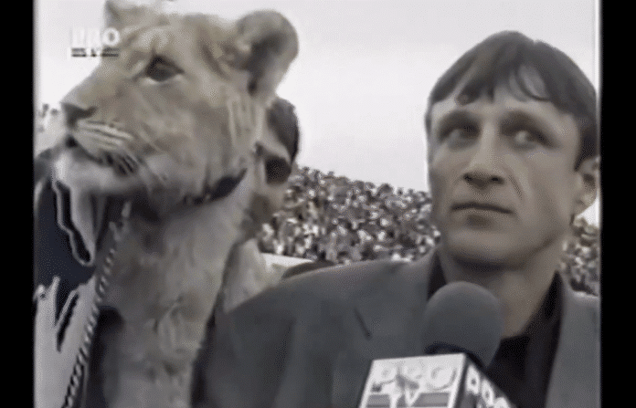 Klassikkovideo: Hullu hetki Romanian pääsarjassa – leijona mukana TV-haastattelussa
