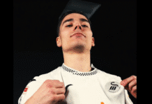 Leo Walta siirtyy Englannin Mestaruussarjassa pelaavaan Swansea Cityyn