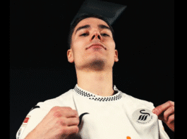 Leo Walta siirtyy Englannin Mestaruussarjassa pelaavaan Swansea Cityyn