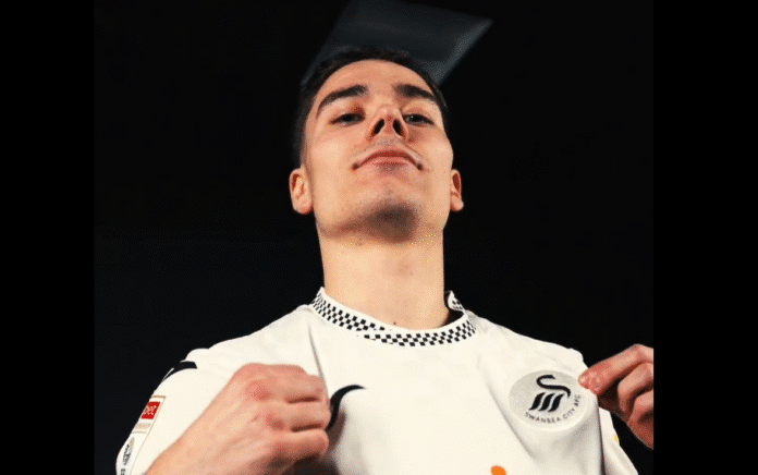 Leo Walta siirtyy Englannin Mestaruussarjassa pelaavaan Swansea Cityyn