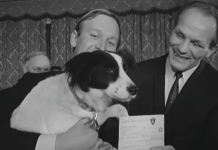 Video: MM-pokaali varastettiin vuonna 1966 – sankarikoira Pickles löysi sen ja sai myös leffaroolin