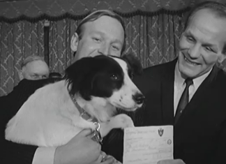 Video: MM-pokaali varastettiin vuonna 1966 – sankarikoira Pickles löysi sen ja sai myös leffaroolin