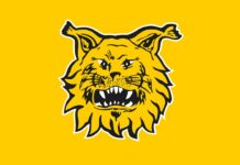 Ilves vaihtaa päävalmentajaa – Camilo Speranza ottaa vetovastuun