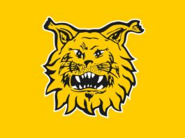 Ilves vaihtaa päävalmentajaa – Camilo Speranza ottaa vetovastuun