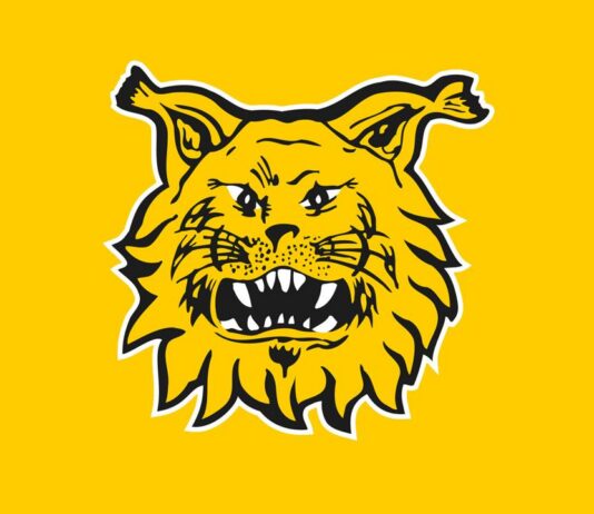 Ilves vaihtaa päävalmentajaa – Camilo Speranza ottaa vetovastuun