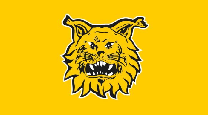 Ilves vaihtaa päävalmentajaa – Camilo Speranza ottaa vetovastuun